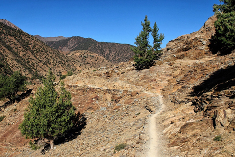 Da Marrakesh: trekking di 2 giorni al monte Toubkal