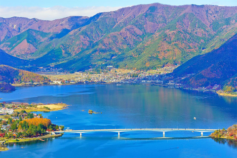 جبل فوجي وبحيرة كاواجوتشيكو روبواي وجولة أوشينو هاكاي ليوم واحدجولة جبل فوجي من محطة JR طوكيو المغا