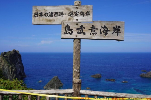 Yoichi: Fruit Picking & Coast Tour with Shine Muscat Option Fruit Picking Day Trip (Picking Ticket Not Included)