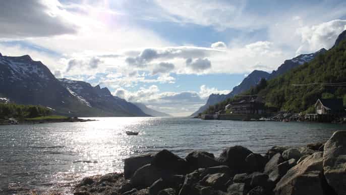 from tromsø fjords small group allinclusive bus tour