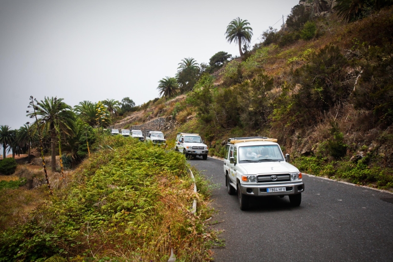Gomera dagsafari-excursie met jeep vanuit Arona