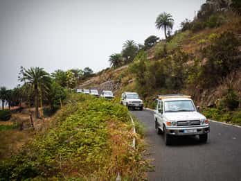 Full-Day Gomera Jeep Safari Excursion from Arona