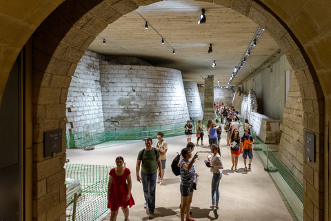 Museo del Louvre: tour guiado sin cola de taquillaTour guiado sin esperas por el Museo del Louvre, en inglés