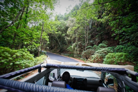 Gomera dagsafari-excursie met jeep vanuit Arona