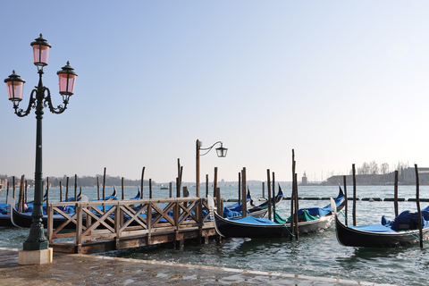 From Rome: Full-Day Small Group Tour to Venice by Train Small Group Tour in English with 2nd Class Train Ticket