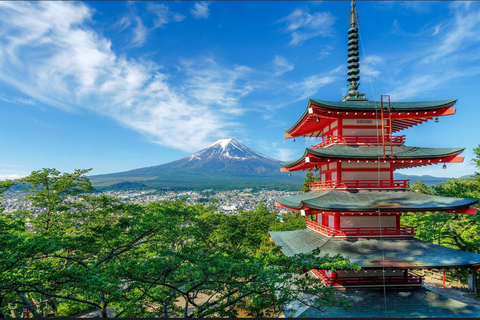 Tokyo: Private Daytrip to Mount Fuji - Fully Customizable Mt Fuji Private Luxury Van Tour (Customizable Experience)