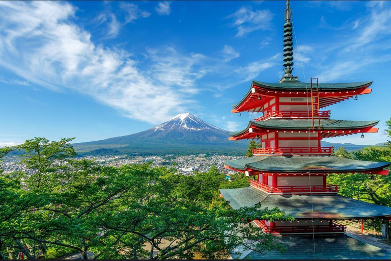 Tokyo: Private Daytrip to Mount Fuji - Fully Customizable Mt Fuji Private Luxury Van Tour (Customizable Experience)