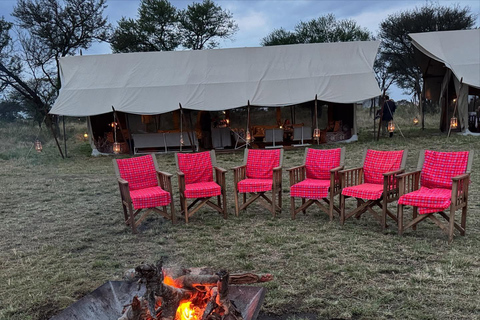 Safari di 3 giorni nel Serengeti da NairobiSafari di 3 giorni al Serengeti da Nairobi