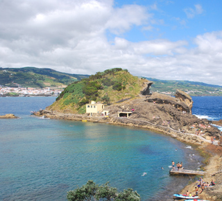 Dolphin Watching in Vila Franca Do Campo