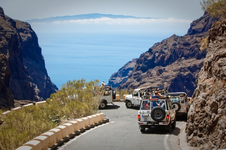 Ab Playa de las Américas: Teide-Tages-Safari mit dem Jeep