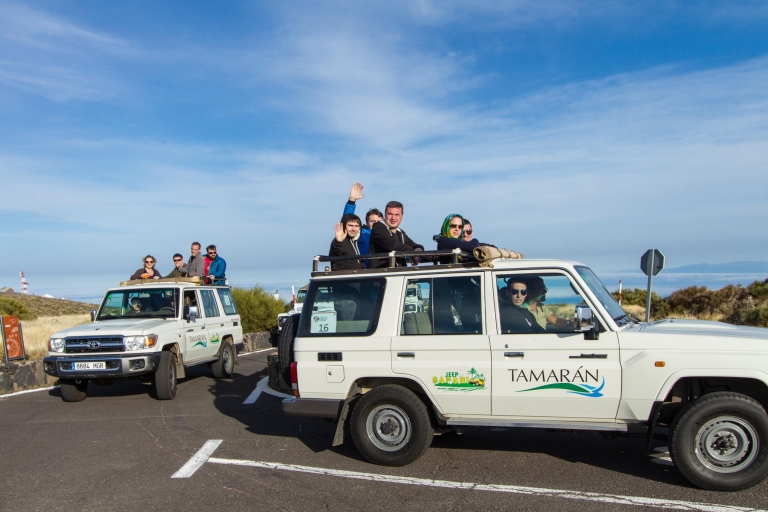 De Playa de las América: excursion d'une demi-journée en jeep safari