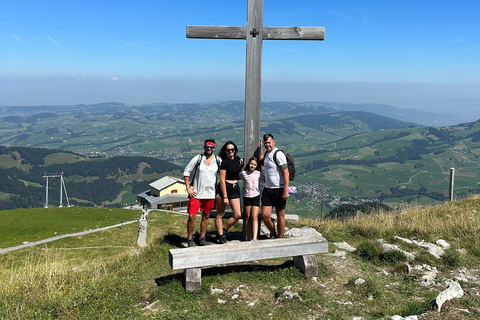 Zürich: Dagtocht Appenzeller bergen, meer &amp; kaasfabriek