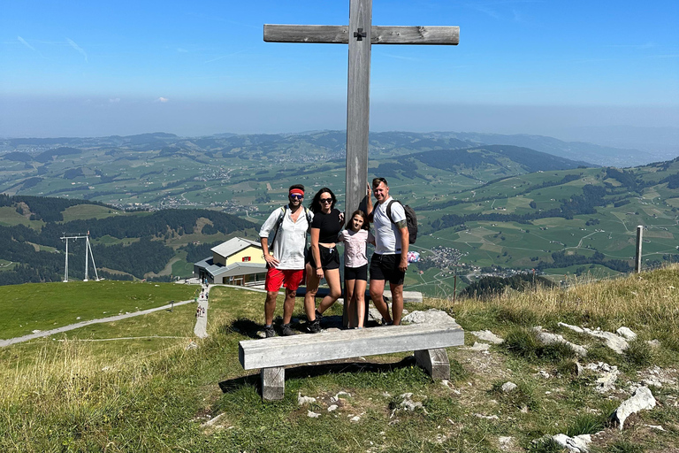 Zürich: Dagtocht Appenzeller bergen, meer &amp; kaasfabriek