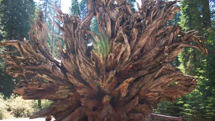 san francisco 6day excursion of southwestern united states
