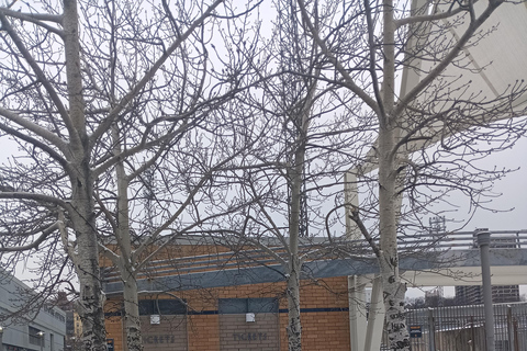 Staten Island: tour a piedi di Saint George