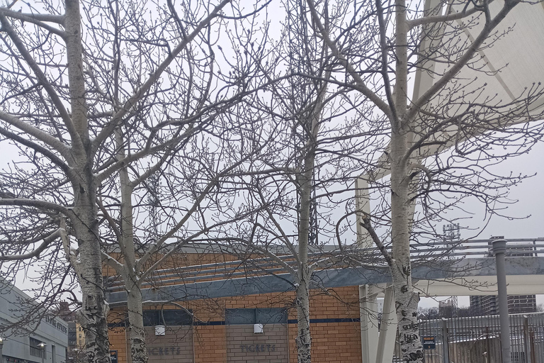 Staten Island: tour a piedi di Saint George