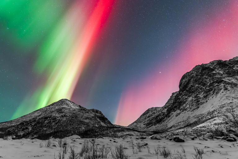 Tromsø: Aurora Quest Minibus Adventure