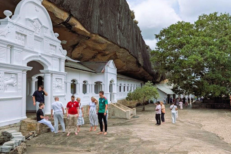 From Dambulla: Cave Temple & Kaudulla National Park Safari