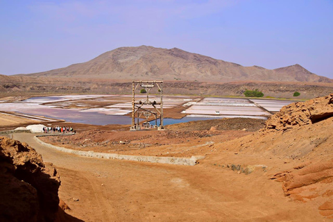 Snorkel, excursión a la isla, excursión a las tortugas, catamarán, pescaExcursión por la isla. Snorkel, pesca, observación de tortugas.Catamarán