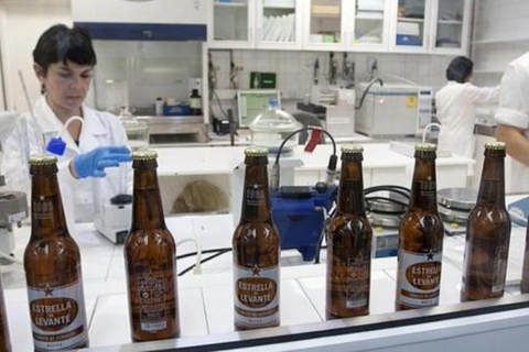Visit a brewery in Murcia with tasting and tapas included, plus transfer
