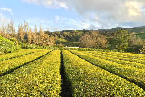 São Miguel Island: Hele dag All-in-One Tour