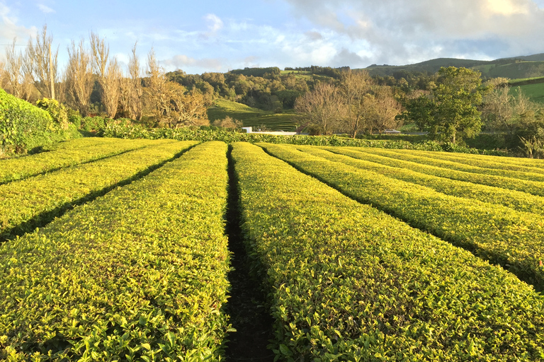 Île de São Miguel: excursion tout-en-un pleine journée