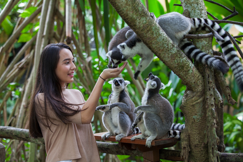 Zoo de Bali : billet d’entréeJeu avec les éléphants dans la boue et billet d&#039;entrée