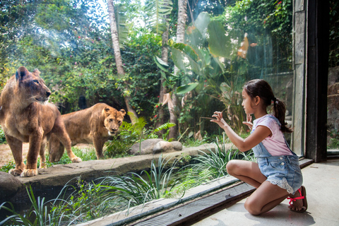 Bilhete de Entrada Zoológico de BaliDiversão na Lama com Elefantes com Ingresso