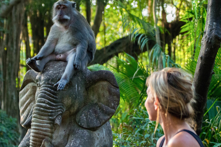 Bali : visite privée au lever du soleil et forêt des singes