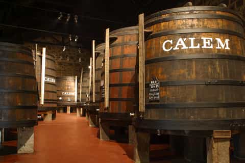 Porto: Hop-On Hop-Off Bus, River Cruise, & Port Cellar Tour