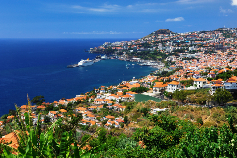 Funchal 3 in 1: 48-Hour Hop-On Hop-Off Bus Tour Funchal: 5-Day 3-in-1 Hop-On Hop-Off Bus Tour