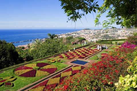 Funchal: Hop-On Hop-Off Bus TourFunchal, Câmara de Lobos and Cabo Girão 48-Hour 3-in-1 Ho-Ho