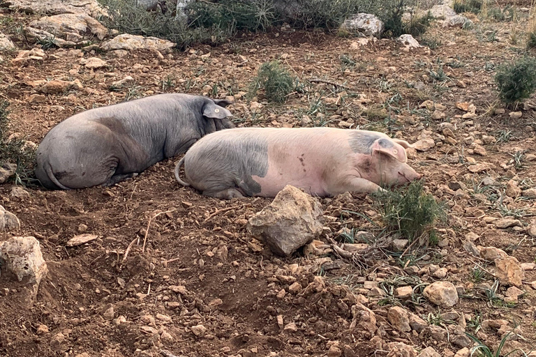 Valldemossa: Stad en de mooiste uitzichtpunten