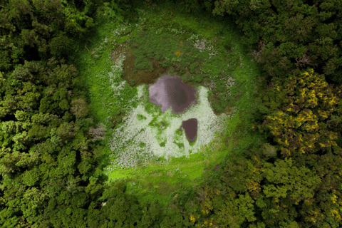 Ruta Zen | Volcán, Lagos, Cascadas, Tirolina y AlmuerzoRuta Zen | Mauricio Excursión de día completo | Comida incluida