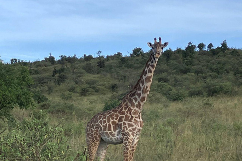 Nairobi: 3-Day epic trip to Maasai Mara Reserve with meals 3 days, 2 nights private safari to Mara in a tourist VAN