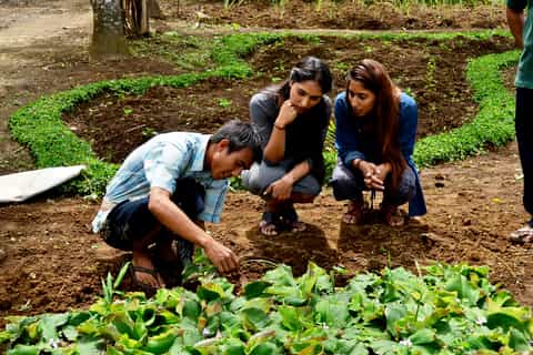 From Ubud: Balinese Cooking Class at an Organic Farm