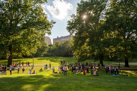 Central Park Bike Rentals