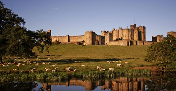 Von Edinburgh aus: Holy Island, Alnwick Castle und Northumbria
