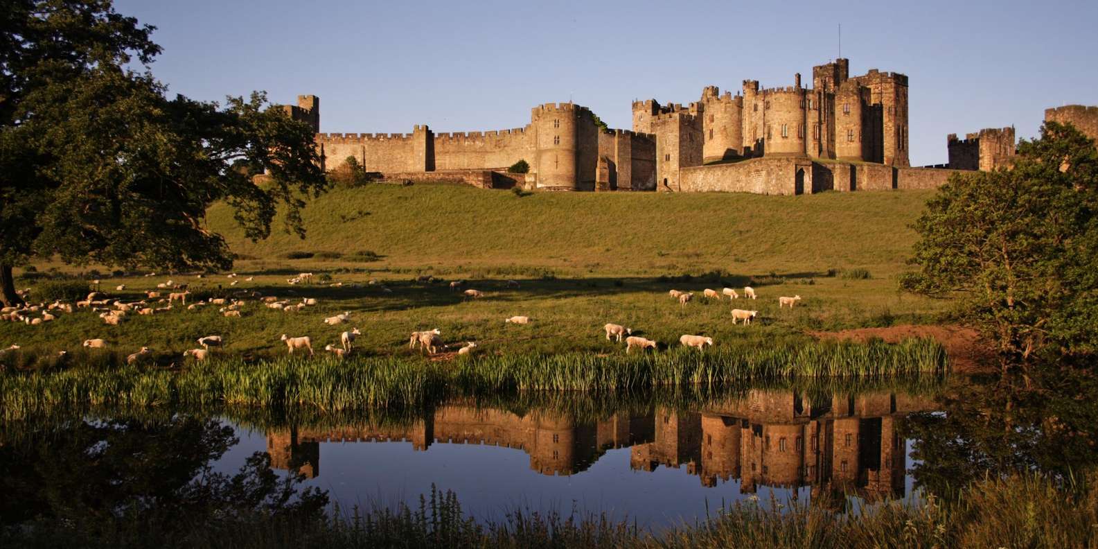 From Edinburgh Holy Island Alnwick Castle Northumbria Getyourguide