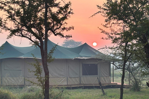 Zanzibar: Safári de 3 dias com um voo rápido para o Serengeti