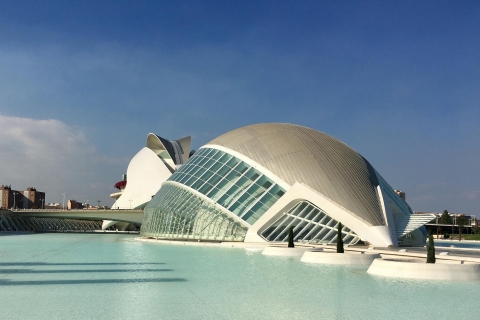 Bienvenido a Valencia: tour privado con un guía localTour de 6 horas