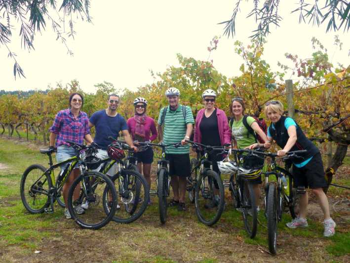 Mclaren Vale Hills Vines and Wines Bike Tour from Adelaide