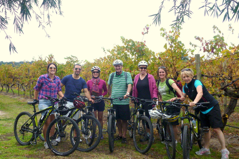 Cykeltur till Mclaren Vale Hills Vines and Wines från Adelaide