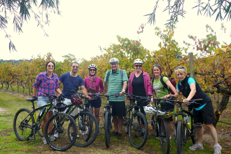 Cykeltur till Mclaren Vale Hills Vines and Wines från Adelaide