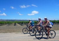 McLaren Vale Hills Vines and Wines Tour à vélo d'Adélaïde - Housity