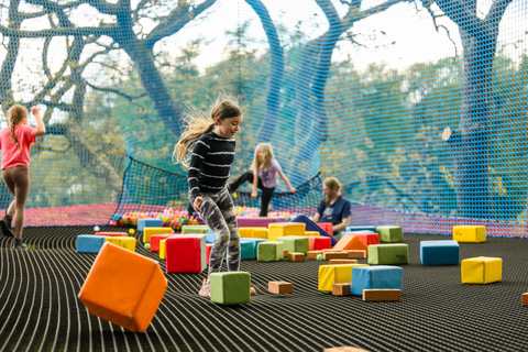 Windermere: Treetop bouncy nets (Treetop Nets)