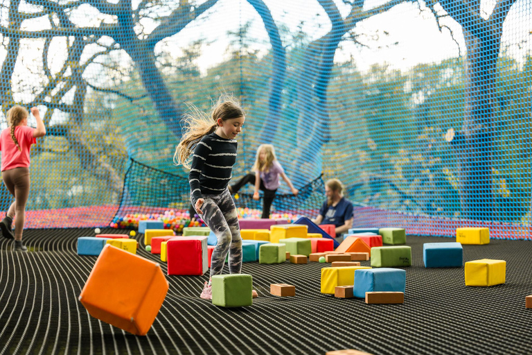 Windermere: Treetop bouncy nets (Treetop Nets)