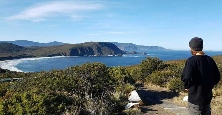 From Hobart Bruny Island Highlights Day Trip