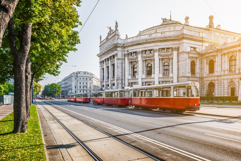 Wiedeń: Karta miejska transportu publicznego i zniżki na atrakcje24-godzinna cyfrowa wiedeńska karta miejska