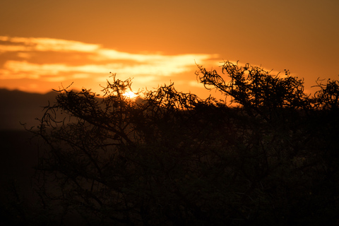 Addo Elephant National Park All Inclusive heldagssafariStandardtur